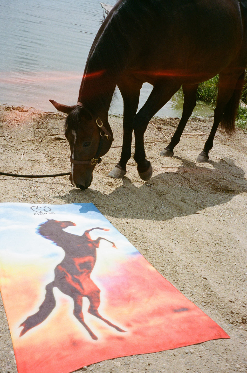 GLORY Beach Towel